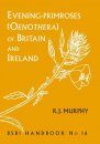Evening-Primroses (Oenothera) of Britain and Ireland