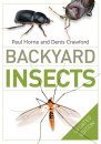 Backyard Insects [of Australia]