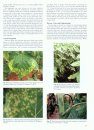 Compendium of Sunflower Diseases and Pests