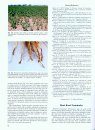 Compendium of Sunflower Diseases and Pests