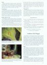 Compendium of Sunflower Diseases and Pests
