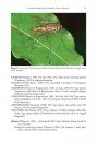 ZooKeys 575: Annotated Catalogue of the Tachinidae (Insecta, Diptera) of the Afrotropical Region, with the Description of Seven New Genera