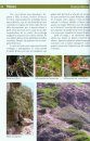 Les Plantes de Menorca [The Plants of Menorca]