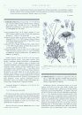 Flora Argentina, Volume 7(2) [Spanish]