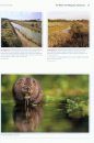 The Water Vole Mitigation Handbook