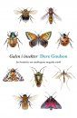 Galen i Insekter: En Berättelse om Småkrypens Magiska Värld [A Buzz in the Meadow]