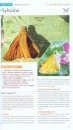 Guide des Plus Beaux Papillons et Leurs Fleurs Favorites: France, Belgique, Luxembourg, Suisse [Guide to the Most Beautiful Butterflies and Their Favourite Flowers: France, Belgium, Luxembourg, Switzerland]