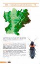 Coléoptères de Rhône-Alpes: Élatéridés [Beetles of the Rhône-Alpes: Elateridae]