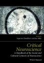 Critical Neuroscience