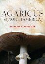 Agaricus of North America