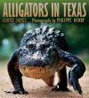 Alligators in Texas