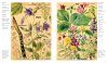 Wild Flowers of Britain: Month by Month | NHBS Field Guides & Natural ...