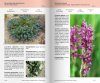 Guide de la Flore du Littoral Sableux Mediterranéen: De la Camargue au Roussillon [Guide to the Flora of the Coastal Sandy Mediterranéen: From the Camargue to Roussillon]