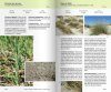 Guide de la Flore du Littoral Sableux Mediterranéen: De la Camargue au Roussillon [Guide to the Flora of the Coastal Sandy Mediterranéen: From the Camargue to Roussillon]
