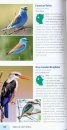 Struik Pocket Guide: Birds of East Africa