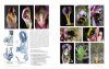 Orchidées d'Europe: Fleur et Pollinisation [European Orchids: Flowers and Pollination]