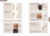 Suomen Lukit ja Valeskorpionit [Finnish Harvestmen and Pseudoscorpions]