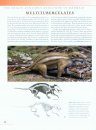 The Princeton Field Guide to Prehistoric Mammals