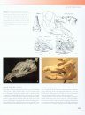 The Princeton Field Guide to Prehistoric Mammals