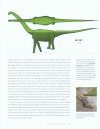 The Sauropod Dinosaurs