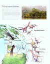 The Sauropod Dinosaurs
