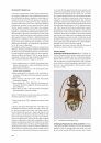 I Coleotteri delle Riserve Naturali Gestite dall'U.T.B. di Belluno [The Beetles of the Natural Reserves Managed by UTB Belluno]
