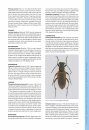 I Coleotteri delle Riserve Naturali Gestite dall'U.T.B. di Belluno [The Beetles of the Natural Reserves Managed by UTB Belluno]
