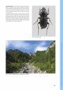 I Coleotteri delle Riserve Naturali Gestite dall'U.T.B. di Belluno [The Beetles of the Natural Reserves Managed by UTB Belluno]