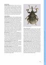I Coleotteri delle Riserve Naturali Gestite dall'U.T.B. di Belluno [The Beetles of the Natural Reserves Managed by UTB Belluno]