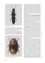 I Coleotteri delle Riserve Naturali Gestite dall'U.T.B. di Belluno [The Beetles of the Natural Reserves Managed by UTB Belluno]