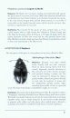 The Darkling Beetles of Ohio