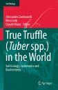 True Truffle (Tuber Spp.) in the World