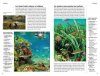 Faune et Flore de la Mer Méditerranée: Guide Visuel [Marine Wildlife of the Mediterranean]