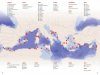 Faune et Flore de la Mer Méditerranée: Guide Visuel [Marine Wildlife of the Mediterranean]