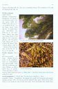 A Survey of the Bryophytes Known from the Aegean Islands