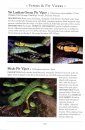 A Naturalist's Guide to the Reptiles of India