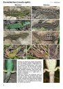 Reptilien Bestimmen: Eier, Jungtiere, Adulte, Häutungen, Totfunde [Identifying Reptiles: Eggs, Juveniles, Adults, Molts, and Carcasses]