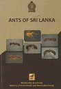 Ants of Sri Lanka