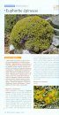 Guide des Plantes Méditerranéennes: Littoral de la France Continentale et de la Corse [Guide to Mediterranean Plants: The Coast of Mainland France and Corsica]