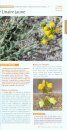 Guide des Plantes Méditerranéennes: Littoral de la France Continentale et de la Corse [Guide to Mediterranean Plants: The Coast of Mainland France and Corsica]
