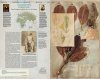 Explorers' Botanical Notebook