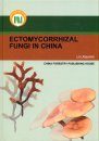 Ectomycorrhizal Fungi in China