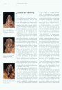 Handbuch der Fledermäuse Europas und Nordwestafrikas: Biologie, Kennzeichen, Gefährdung [Handbook of Bats of Europe and North Africa: Biology, Identification, Threats]
