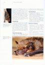 Handbuch der Fledermäuse Europas und Nordwestafrikas: Biologie, Kennzeichen, Gefährdung [Handbook of Bats of Europe and North Africa: Biology, Identification, Threats]