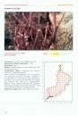 Oman Plant Red Data Book