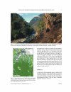 Avifauna of the Southeastern Himalayan Mountains and Neighboring Myanmar Hill Country