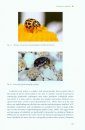 A Natural History of Ladybird Beetles