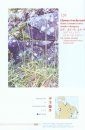 Plants of the Villages and the Parks of Nunavik / Plantes des Villages et des Parcs du Nunavik