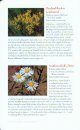 Field Guide to the Wildflowers of Georgia and Surrounding States