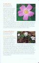 Field Guide to the Wildflowers of Georgia and Surrounding States